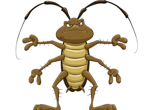 Учите английские слова на myenglishclassroom.com  cockroach