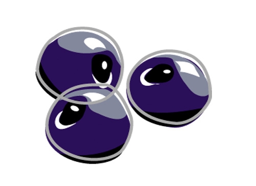 Учите английские слова на myenglishclassroom.com  bilberry