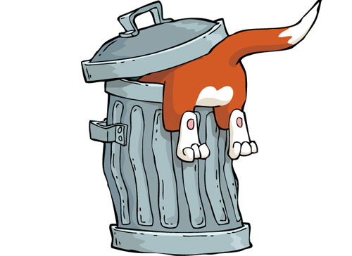 Учите английские слова на myenglishclassroom.com  bin