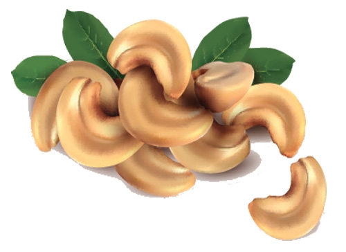 Учите английские слова на myenglishclassroom.com  cashew