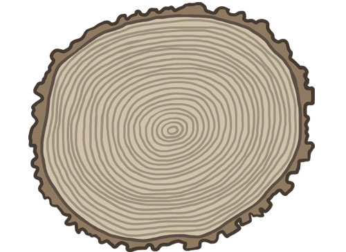 Учите английские слова на myenglishclassroom.com  annual