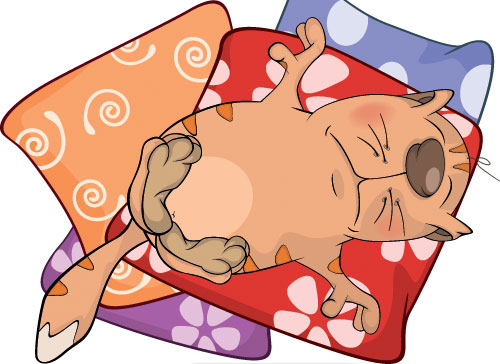 Учите английские слова на myenglishclassroom.com  comfortable