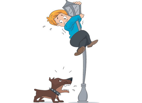 Учите английские слова на myenglishclassroom.com  bark