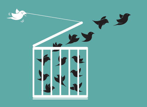 Учите английские слова на myenglishclassroom.com  cage