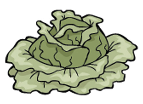 Учите английские слова на myenglishclassroom.com  cabbage