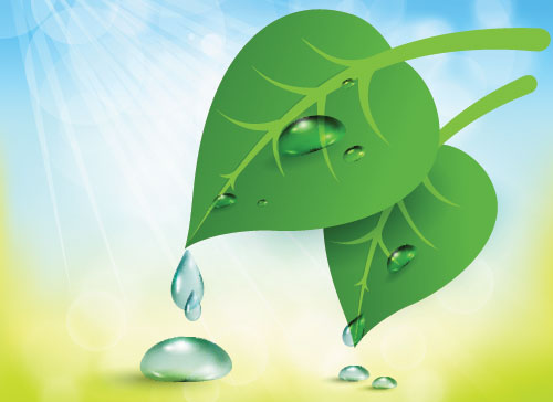 Учите английские слова на myenglishclassroom.com  dew