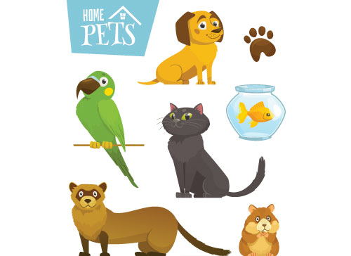 Учите английские слова на myenglishclassroom.com  domestic