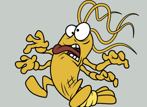 Учите английские слова на myenglishclassroom.com  afraid