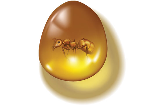 Учите английские слова на myenglishclassroom.com  amber