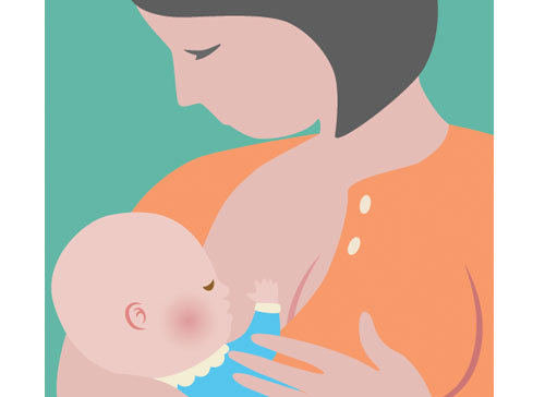 Учите английские слова на myenglishclassroom.com  breast