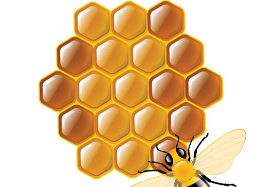 Учите английские слова на myenglishclassroom.com  cell